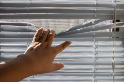 Rolety czy żaluzje – Które rozwiązanie lepiej sprawdzi się w twoim domu?